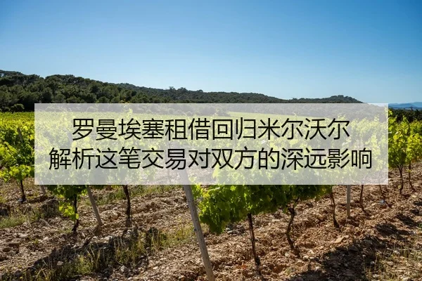 罗曼埃塞租借回归米尔沃尔 解析这笔交易对双方的深远影响 | BeiboSports